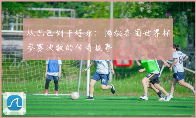 从巴西到卡塔尔：揭秘各国世界杯参赛次数的传奇故事